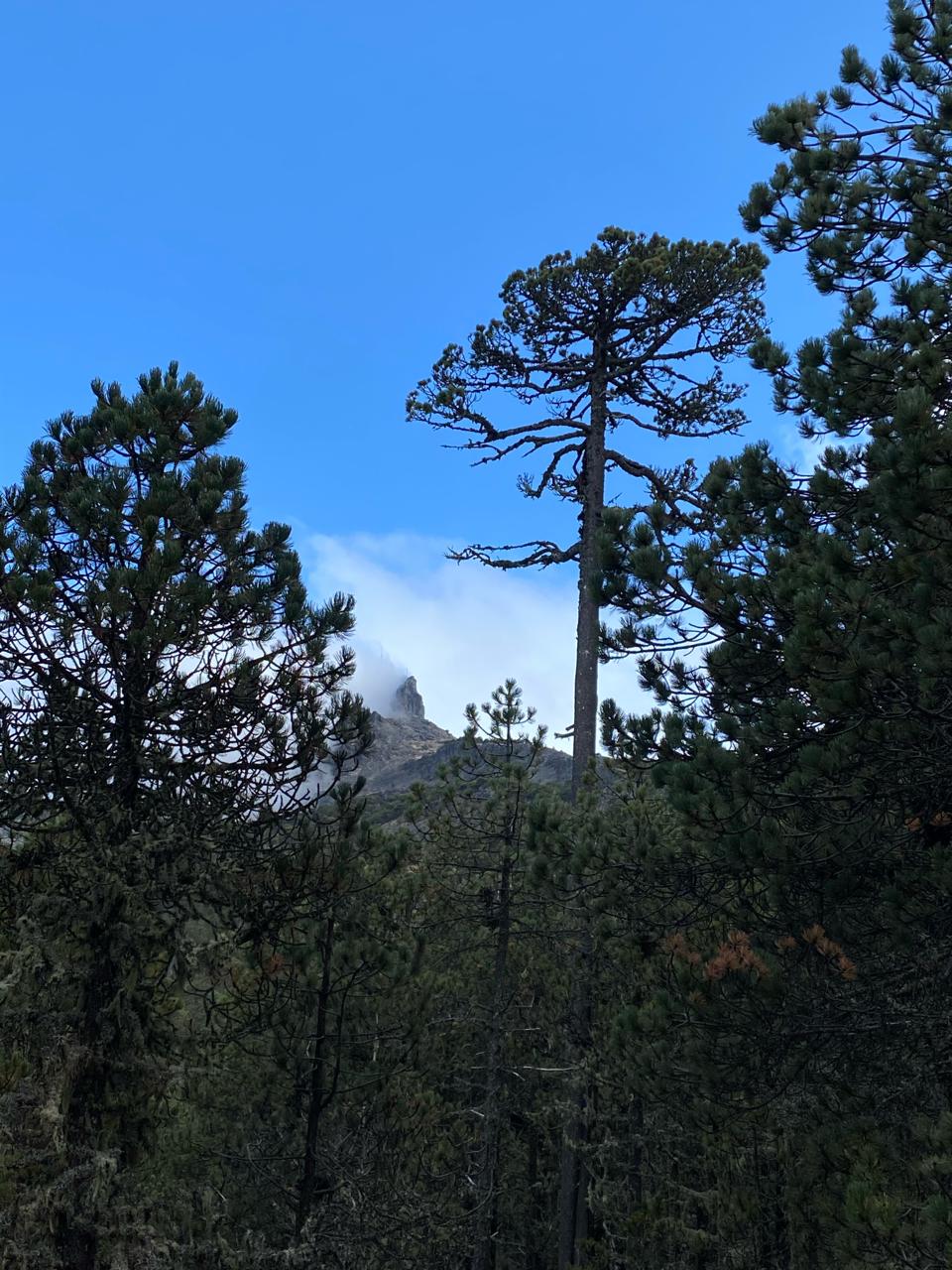 imagen de whatsapp 2025 10 12 a las 22.59.13 bd924ea9